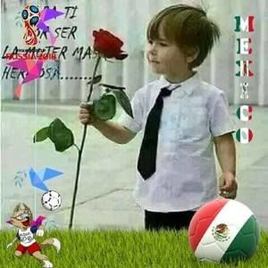 Meet your Posher, Noe